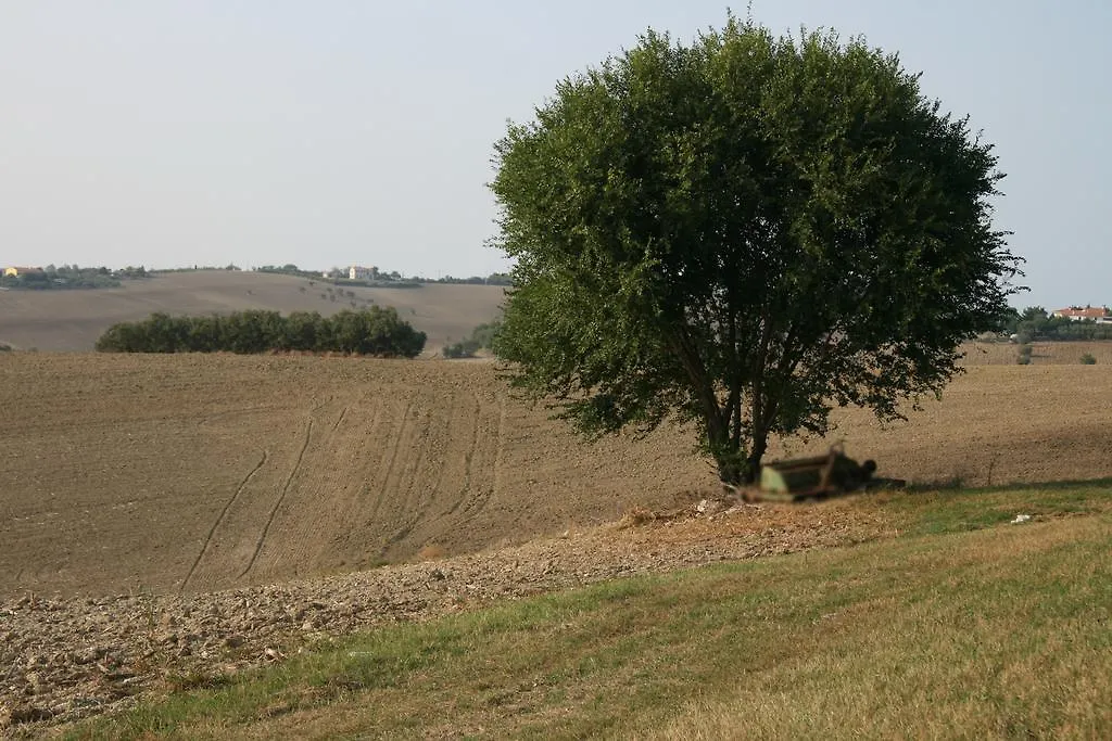 Il Campetto Country House Senigallia Italy